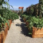 Exterior Designs Landscape | Vegetable Boxes